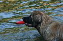 flaten_2008 jul 02_0319